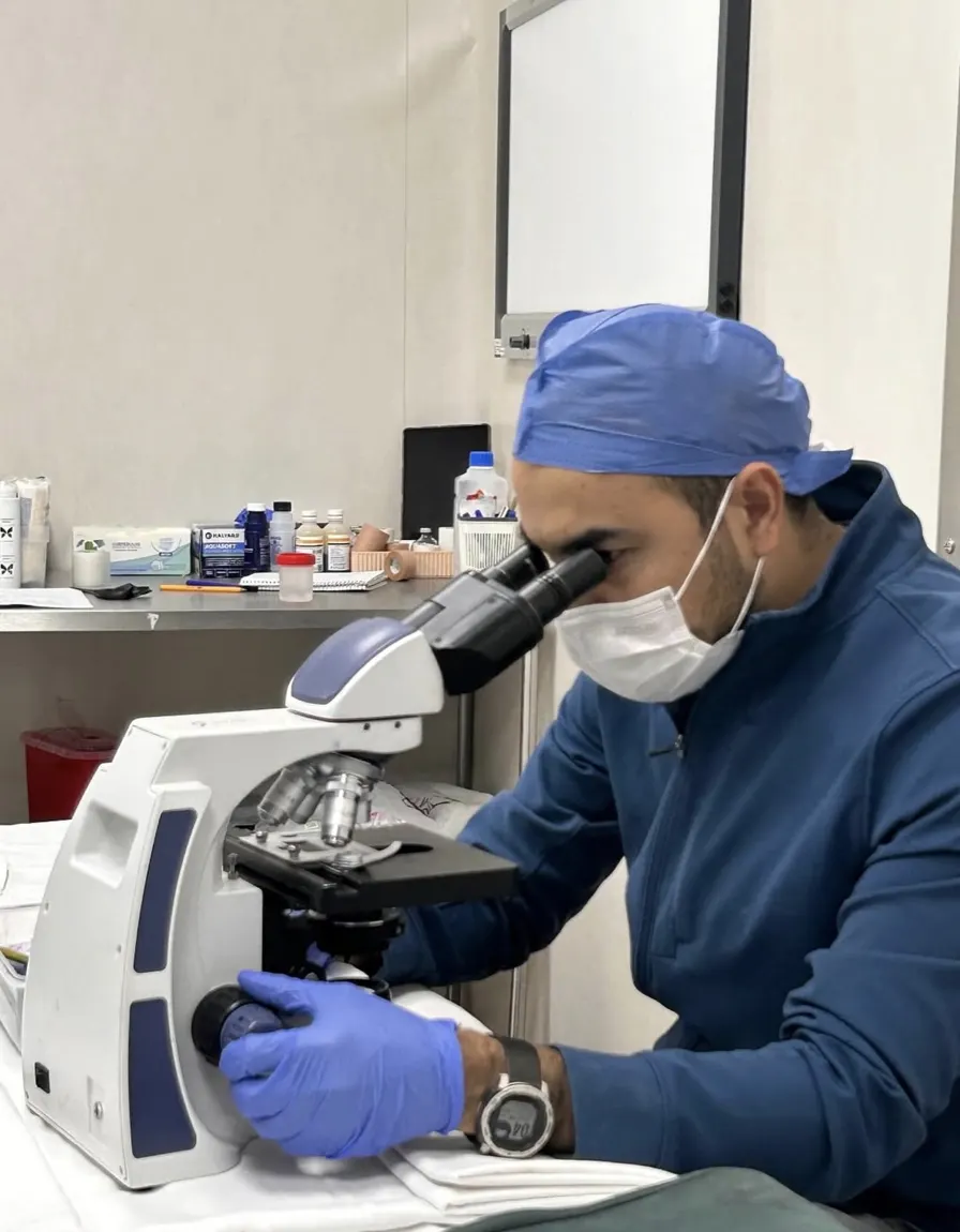 Revisión de una muestra al microscopio